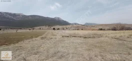 Burdur Yeşilova Akçaköy Tek Tapu Tarla — fotoğraf 5