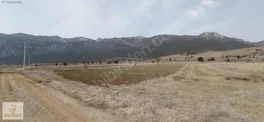 Burdur Yeşilova Akçaköy Tek Tapu Tarla — fotoğraf 6