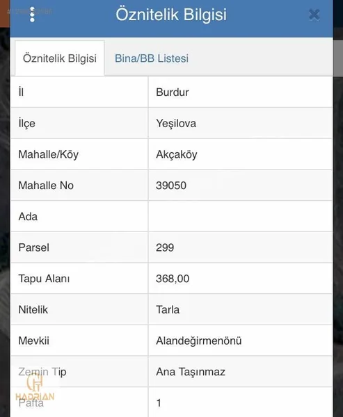 Yeşilova Akçaköyde dere kenarı — fotoğraf 1