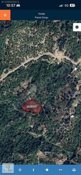 Acilll Konyaaltı Yarbaşçandır Da 6600 Metre Satılık Tarla — fotoğraf 3