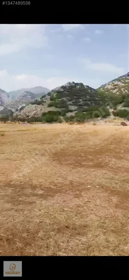Antalya Döşemealtı Ilıcada 6 Dönüm Tarla Kelepirr — fotoğraf 6